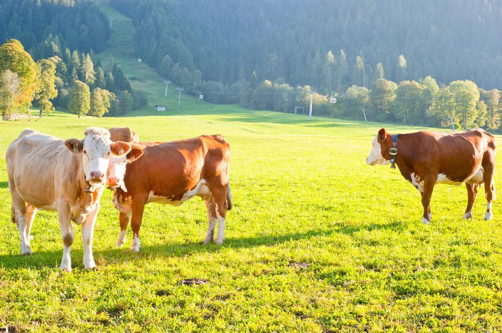 Hartlhof Urlaub Am Baby- Und Kinderbauernhof Niederau Bagian luar foto